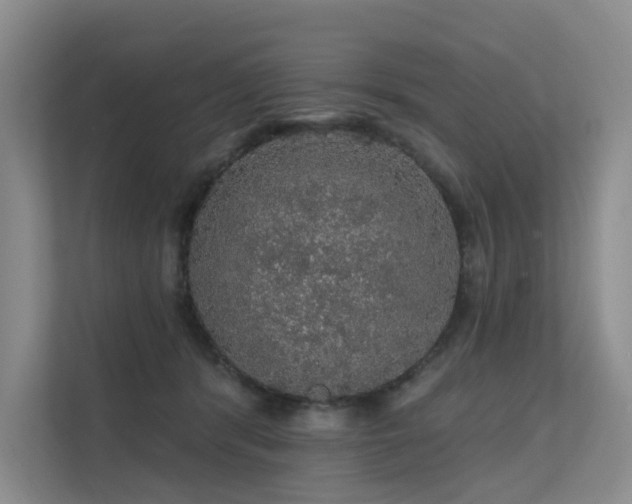 X0000112160416200908071142