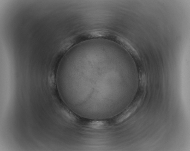 X0000112160418200908071142
