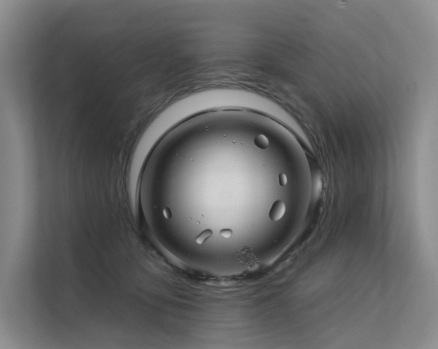 X0000112160419200908071142