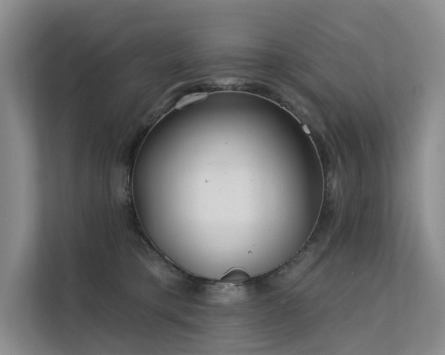 X0000112160421200908071142