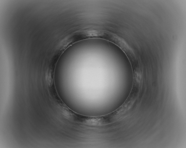 X0000112160422200908071142