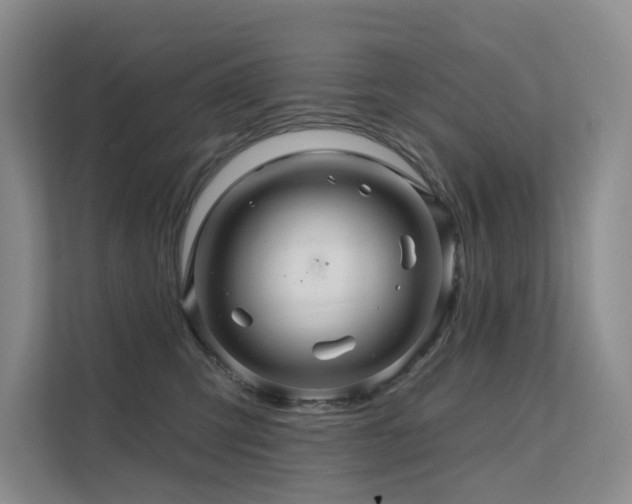 X0000112160423200908071142