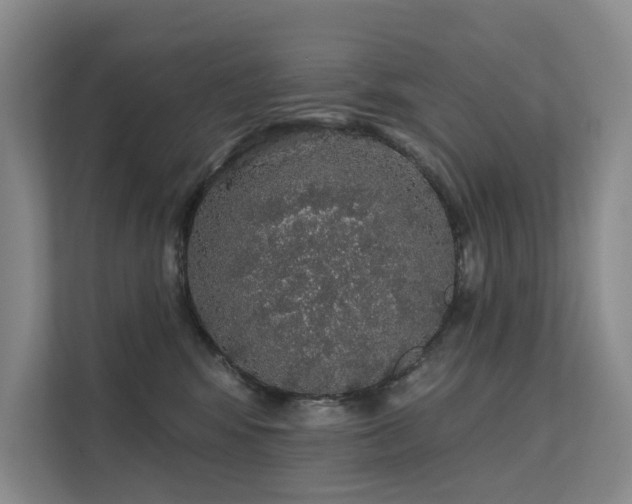 X0000112160424200908071142