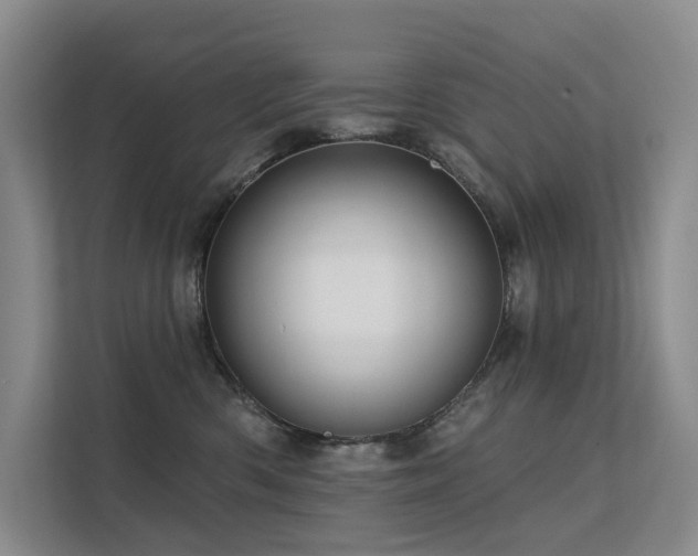X0000112160426200908071142