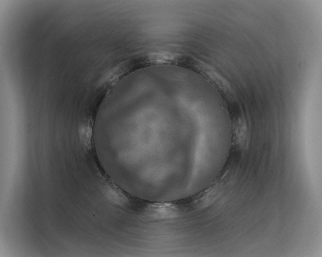 X0000112160427200908071142