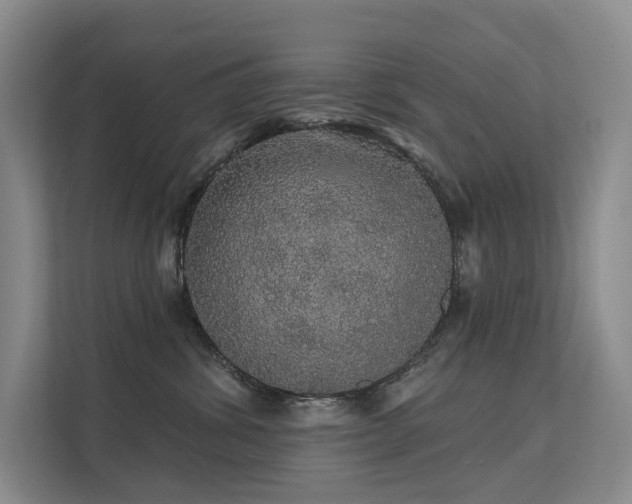 X0000112160428200908071142