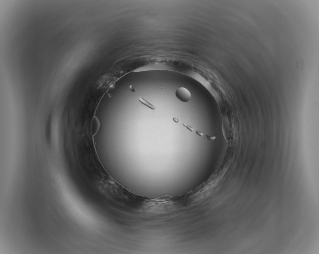 X0000112160429200908071142