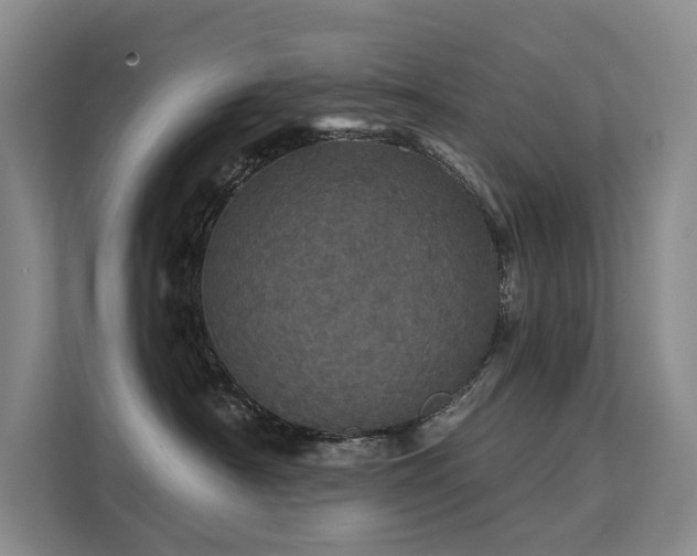 X0000112160430200908071142