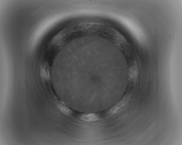 X0000112160431200908071142