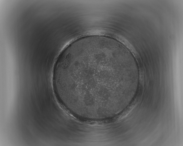 X0000112160434200908071141