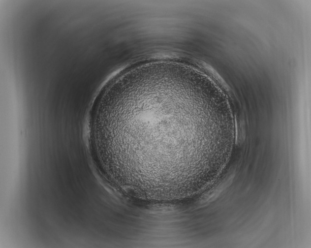X0000112160435200908071141
