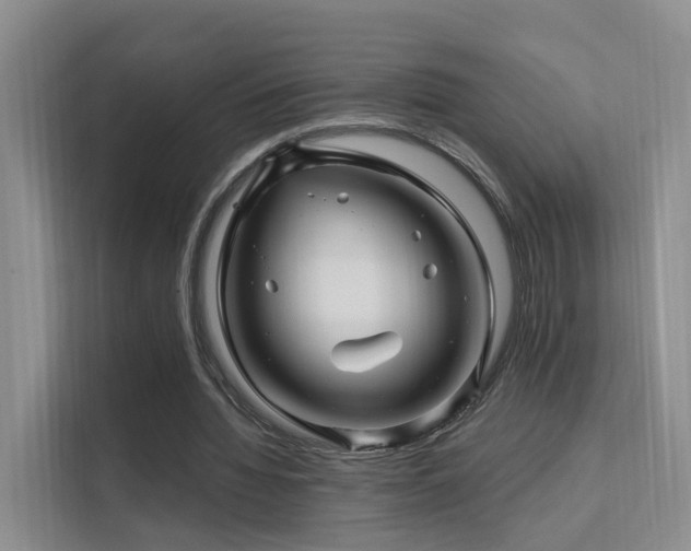 X0000112160436200908071141