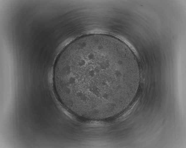 X0000112160437200908071141