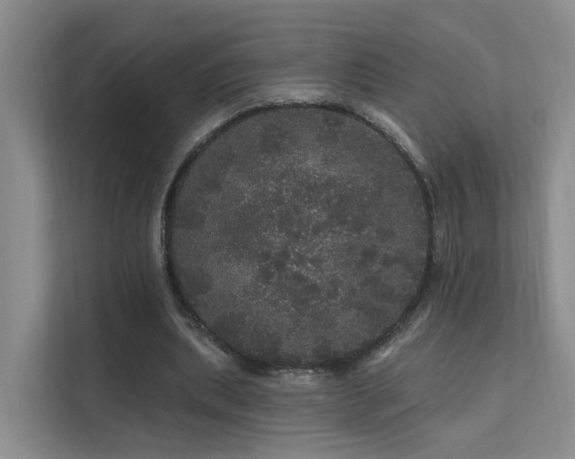 X0000112160439200908071141