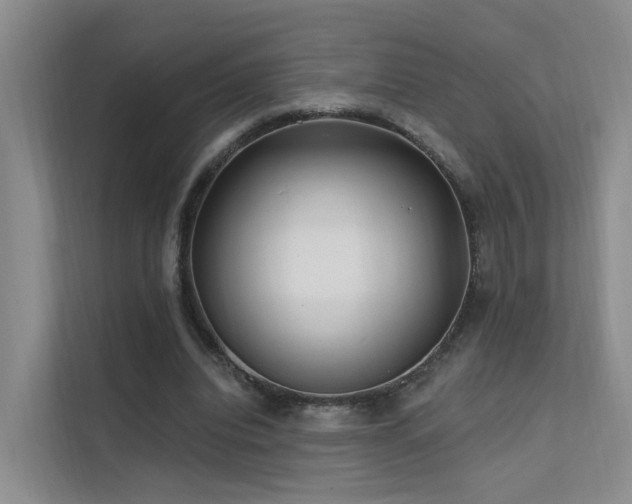 X0000112160440200908071141