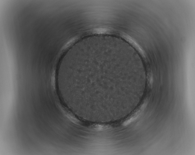 X0000112160442200908071141