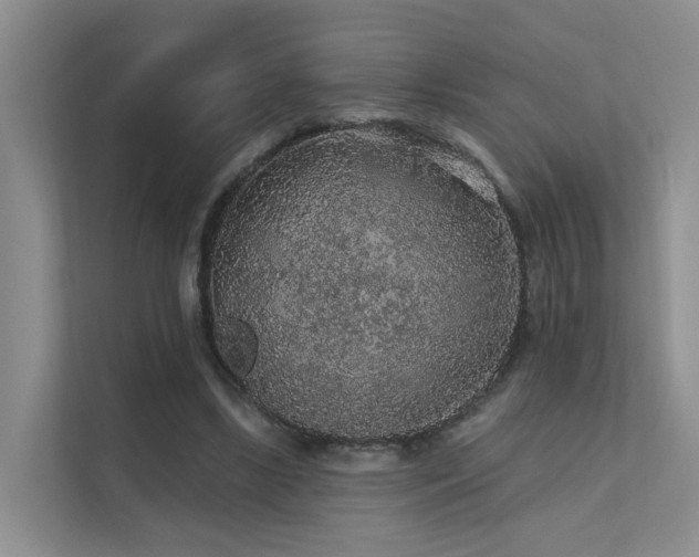 X0000112160443200908071141