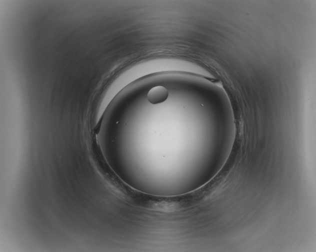 X0000112160444200908071141