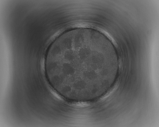 X0000112160445200908071141