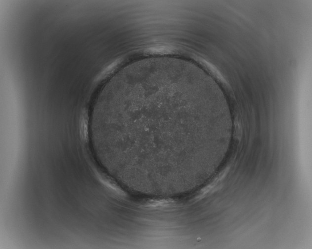 X0000112160446200908071141