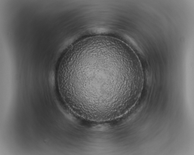 X0000112160447200908071141