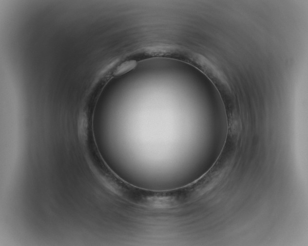 X0000112160448200908071141