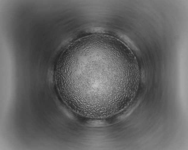 X0000112160449200908071141