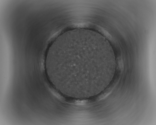 X0000112160450200908071141