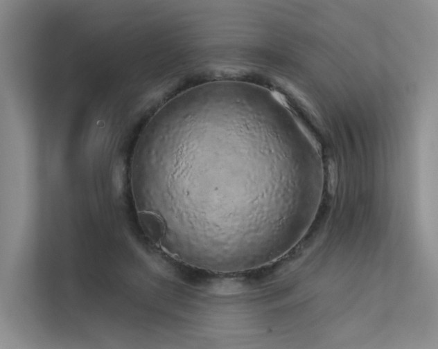 X0000112160451200908071141