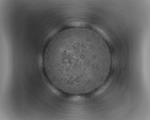 X0000112160453200908071141