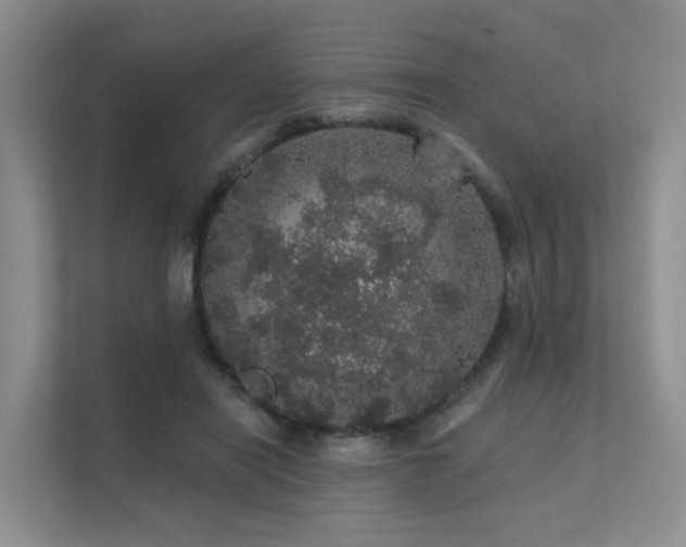 X0000112160454200908071141