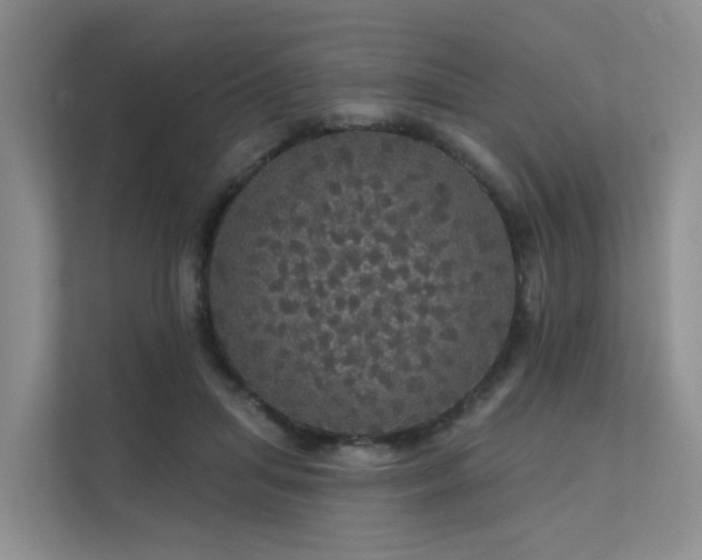 X0000112160455200908071141