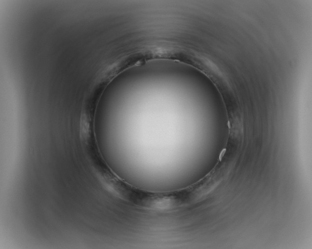 X0000112160456200908071141