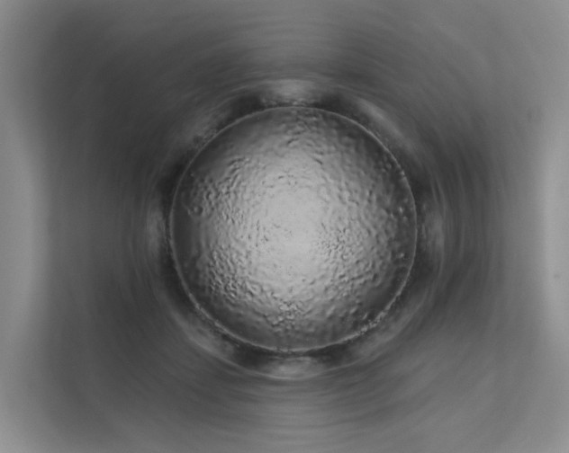 X0000112160459200908071141