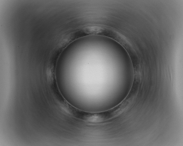 X0000112160460200908071141