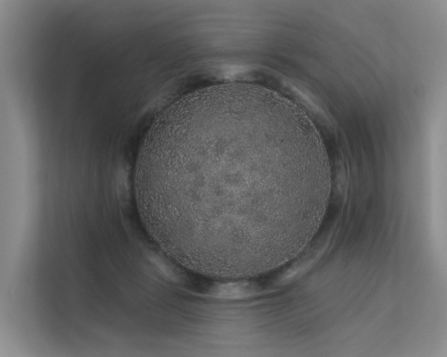 X0000112160461200908071141
