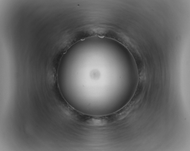 X0000112160464200908071141