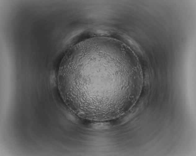 X0000112160465200908071141