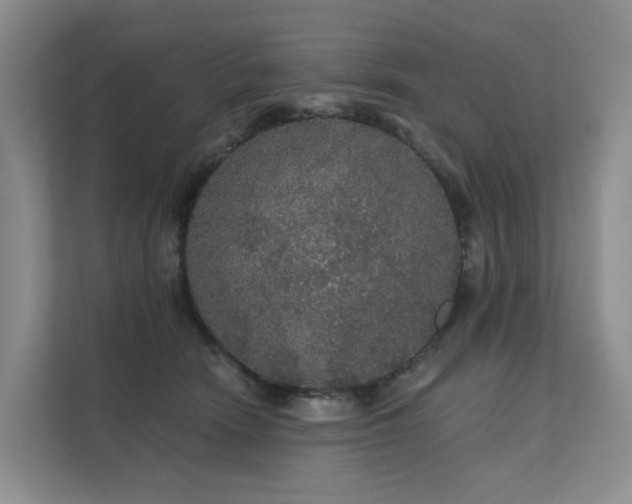 X0000112160466200908071142