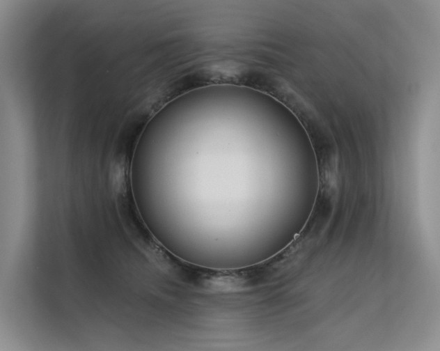 X0000112160468200908071142