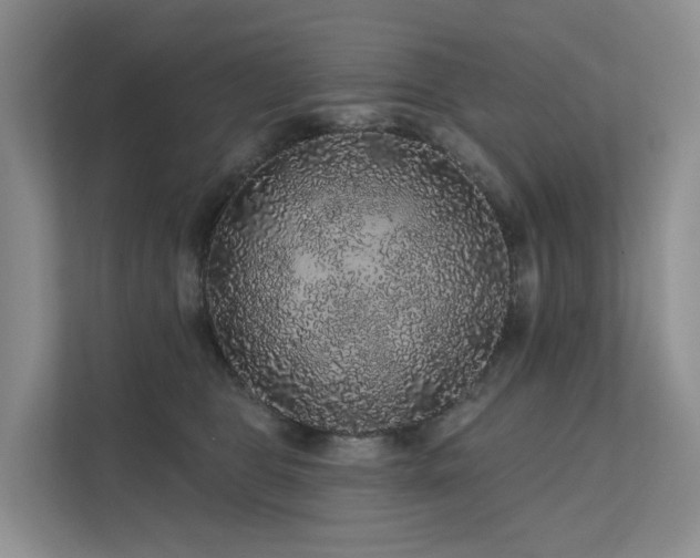 X0000112160469200908071142