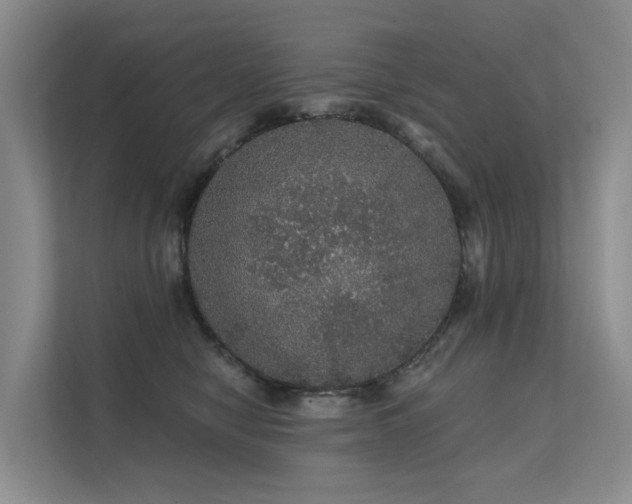 X0000112160470200908071142