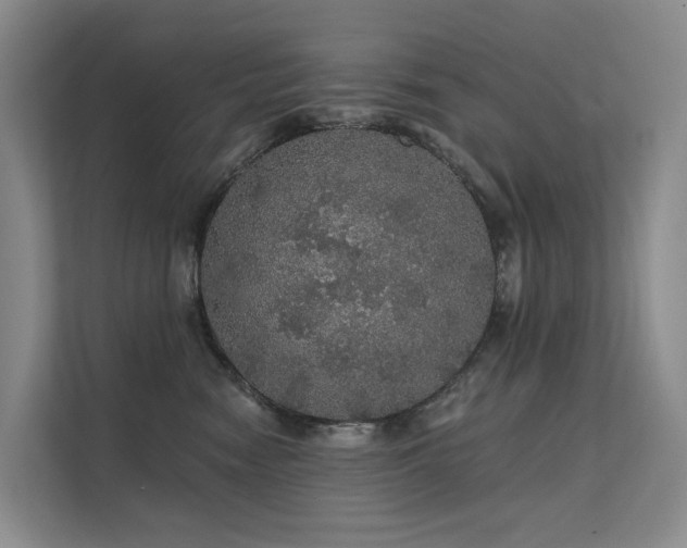 X0000112160474200908071142
