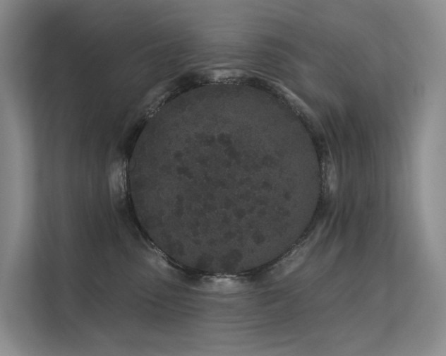 X0000112160475200908071142