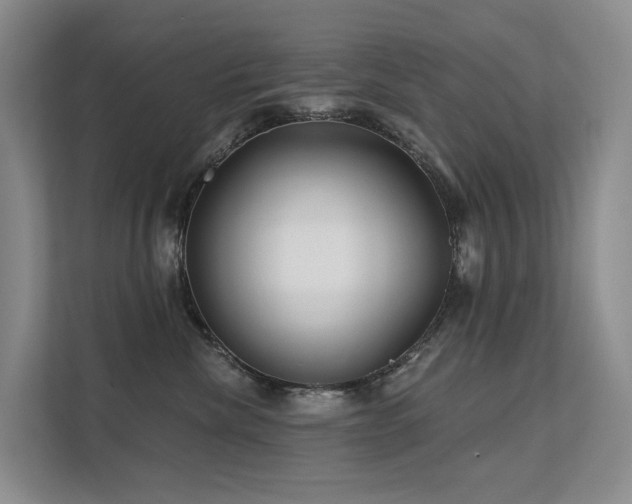 X0000112160476200908071142