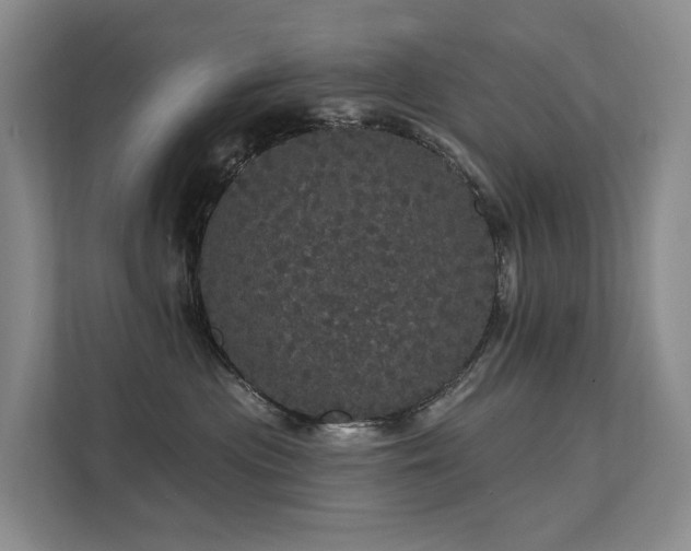 X0000112160477200908071142
