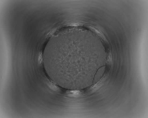 X0000112160478200908071142