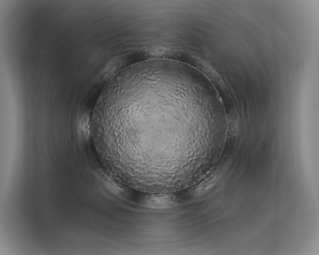 X0000112160479200908071142