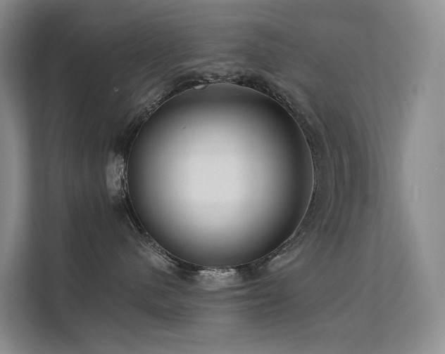 X0000112160480200908071142