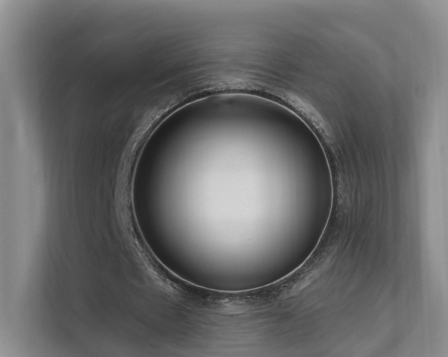 X0000112160481200908071141